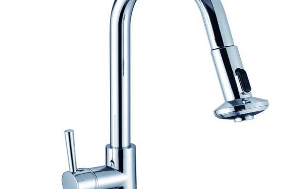 Kitchen Mixer pull-out