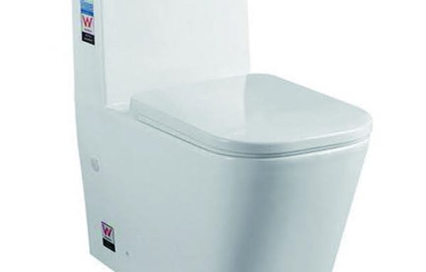 Toilet One-piece
