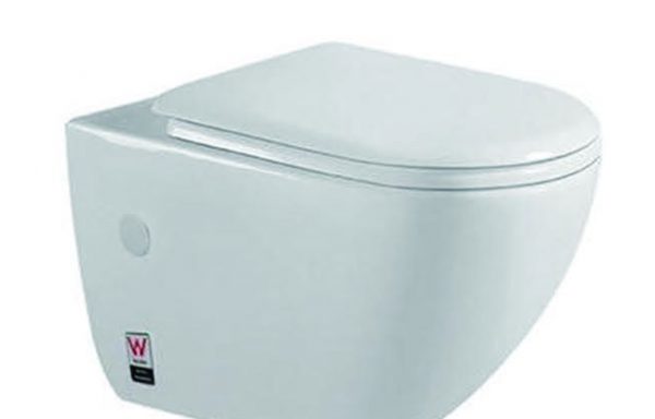 Wall Hung Toilet